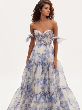 Milla Hydrangea Floral Organza Maxi Dress Blue White Tie-Strap Sweetheart xs